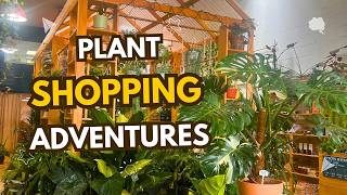 Exciting Plant Shopping at COZY PLANT Boutique!