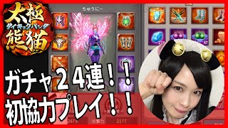 太極パンダ #2★ガチャ24連＆協力プレイ！超美麗アクションRPG【しろくろちゃんねる】