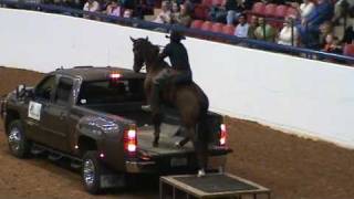 Dan Keen \u0026 Troubadour ( Mustang horse ) - IALHA show 2009