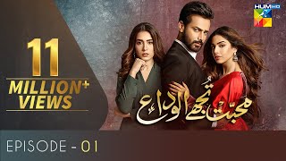 Mohabbat Tujhe Alvida Episode 1 | English Subtitles | HUM TV Drama 17 June 2020
