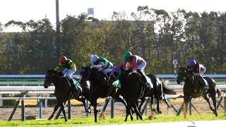 クラージュゲリエ（モレイラ）が京都2歳ステークス勝利。現地映像、京都競馬場