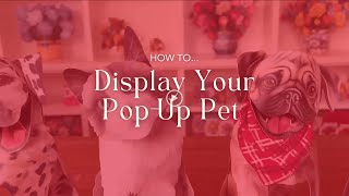 How-To Display Your Pop-Up Pet