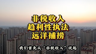 2024年的“非税收入、趋利性执法与远洋捕捞”（2024年12月特辑）