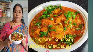 Today-s Specal  Vlog👌சுரைக்காயில் பனீர் எப்படி செய்வது❓சப்பாத்திக்கு இப்படி கிரேவி செ👌#agni#samayal#