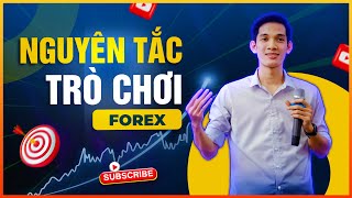 Làm thế nào để chiến thắng thị trường forex | Giải mã kho vàng Forex P4