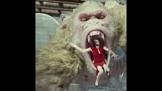 Gorilla Status Video   #shortfeed #pet #animal #viralshort #short