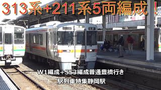 313系+211系5両編成！W1編成+SS3編成普通豊橋行き　駅列車特集　JR東海道本線　静岡駅　その2