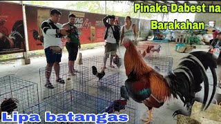 Dec. 21, 2024...PinakaDinarayong Barakahan Ng Quality at Kawality mga Manok sa Batangas...