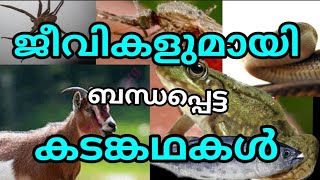 ജീവികളെ കുറിച്ചുള്ള കടങ്കഥകൾ / Riddle's About Animal's / Animal's Riddles Malayalam