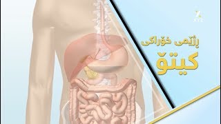 ڕژێمی خۆراکی کیتۆ چییە؟