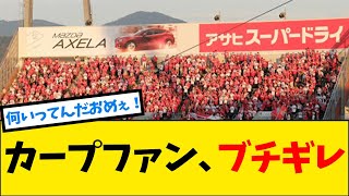 【悲報】広島カープファン、切れる【なんJ反応】【プロ野球反応集】