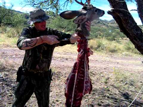 AZ White Tail Deer Hunt Unit 36B 10/23/10 - YouTube