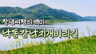 곽재우 장군의 전설 따라 걷는 아름다운 벼랑길 / 낙동강 남지개비리길 [창녕 02]