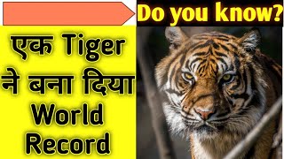 Tiger ने बना दिया World Record | Guinnessworldrecord | #shorts #ytshorts