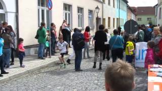 UNICEF-Lauf zum 39.Triptiser Stadtfest am 31.05.2015