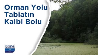 beIN İZ Belgesel | Orman Yolu \