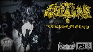 DIPYGUS “Corpseflower” live at Dungeon Death Fest, April 16th, 2022