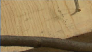 Toledo bulk collection changes: What residents need to know