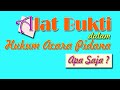 Alat Bukti Dalam Hukum Acara Pidana