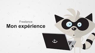 Le statut de Freelance, Mon expérience