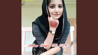 Aslam Singer SR 3276