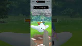 今話題のカイオーガ甘甘改造版！【マスターリーグ】【ポケモンGO】