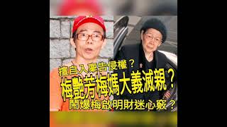 梅艷芳梅媽大義滅親？鬧爆梅啟明財迷心竅？擅自入稟告侵權？