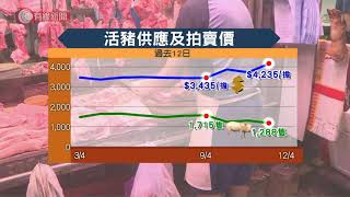 内地供港活豬減少價格急升　業界向政府爭取放寬豬肉檢疫措施 - 20200413 - 香港新聞 - 有線新聞 CABLE News