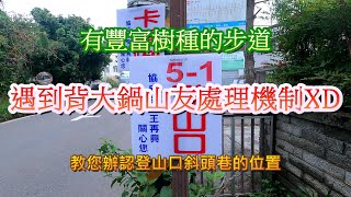 台灣 小百岳 041 台中 新社 大坑 五之一 五號 步道   頭嵙山 登山 體能 訓練 鍛鍊 健走  景點 4K