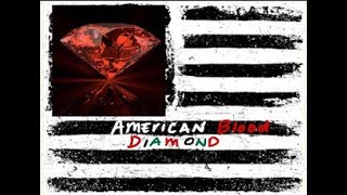 OFFICIAL!!!! AN AUTOBIOGRAPHY OF AN AMERICAN BLOOD DIAMOND READ IN ITS ENTIRETY