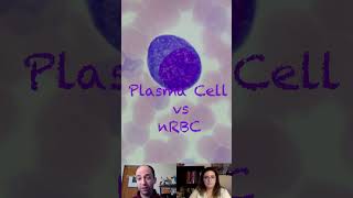 Plasma Cell versus nRBC