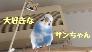 サンちゃんありがとう