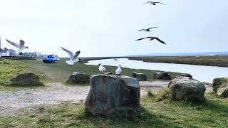 Penclawdd 2/5/22