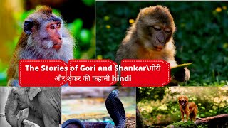 The story of gori and shankar |hindi/tamil movies