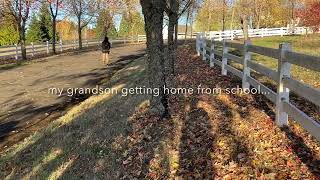 Picking up fall leaves on driveway