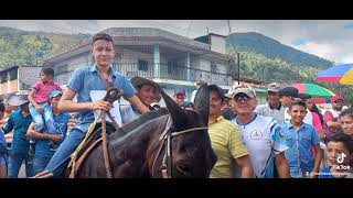 final de la fería Zea 2023. carrera Machos y Mulas.  concurso  de sancochos.