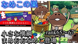 【なめこの巣】イベント【小さな横綱まめおおなめこ】＆ランク65〜67！😁