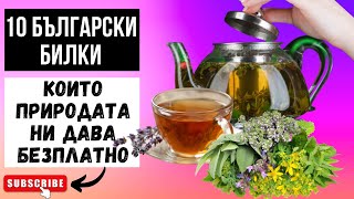 TOP 10 MEDICINAL HERBS IN BULGARIA! 10 BULGARIAN HERBS WHICH ARE A FREE GIFT FROM NATURE!