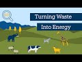 Research in 60 Seconds | Turning Agricultural Waste Into Energy