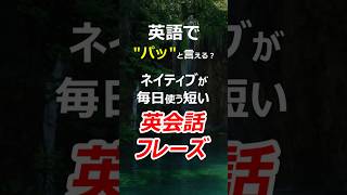 英語で ″パッと″ 言える？簡単で短い英会話フレーズ！英語初心者必見！#英語 #英会話 #聞き流し #初心者 #初級