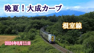 2024年８月11日　晩夏の大成ーカーブ　根室線にて　特急おおぞら・特急とかち・DECMO