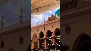 The Unbelievable Story of Raoza Rasool - The Tomb of a Prophet