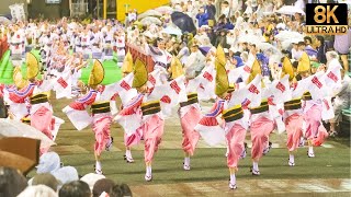 [2023 Ahouren] A masterpiece of Awa Odori that keeps everything in order even in a typhoon - 8K UHD