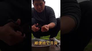 这女婿真优秀，亲自下厨给老丈人做“葱爆大虾”