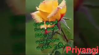 ආත්මයක් හරි අපි දෙන්නා