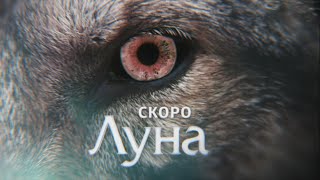 Луна: скоро на СТС!