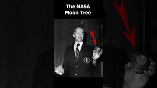 The NASA Moon Tree