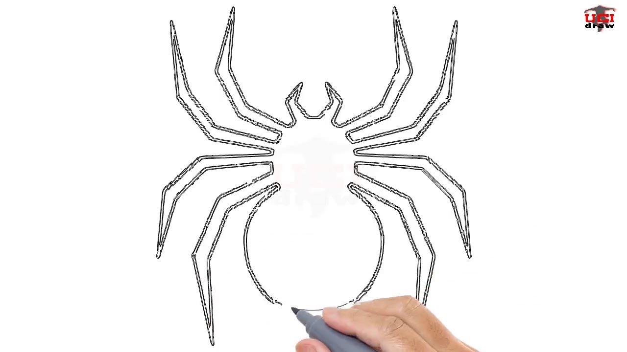 Spider Art Drawing Easy Yun Fahner