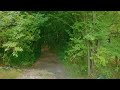 virtual bike ride in the countryside of western ukraine 4k hdr relaxing scenery u0026 authentic sounds