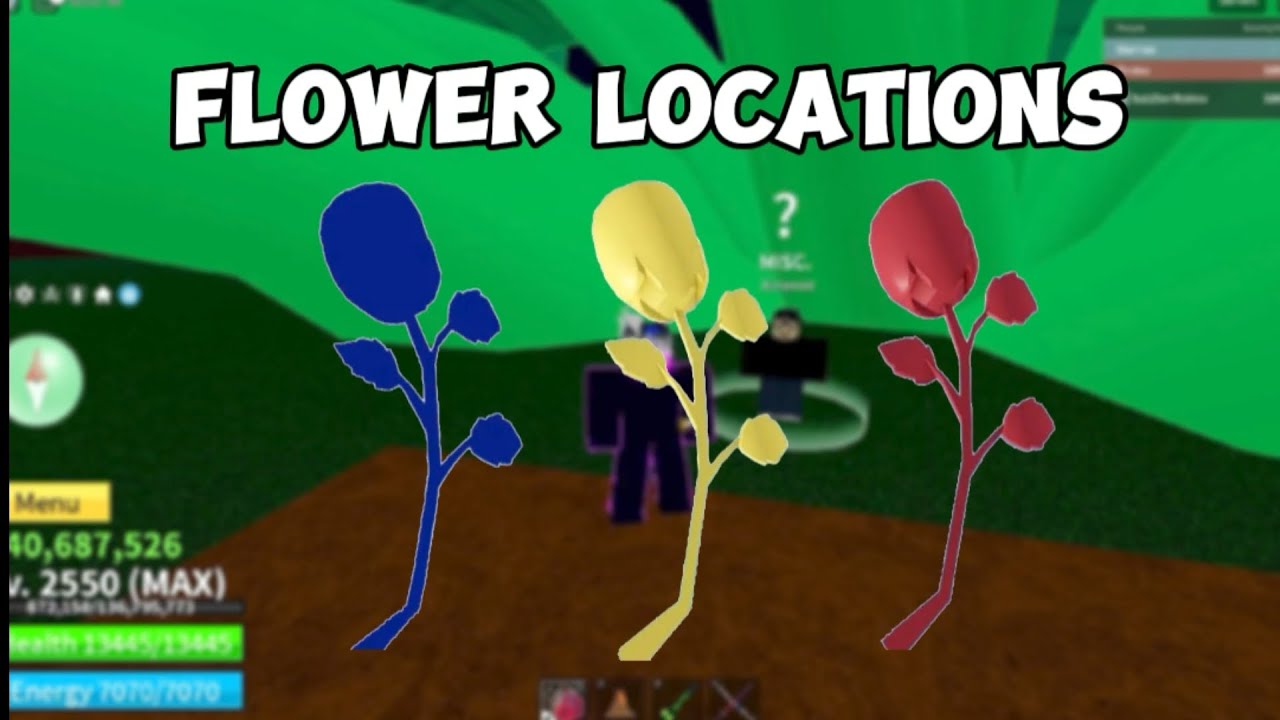 All Flower Locations Blox Fruit | Race V2 | Alchemist Quest - YouTube